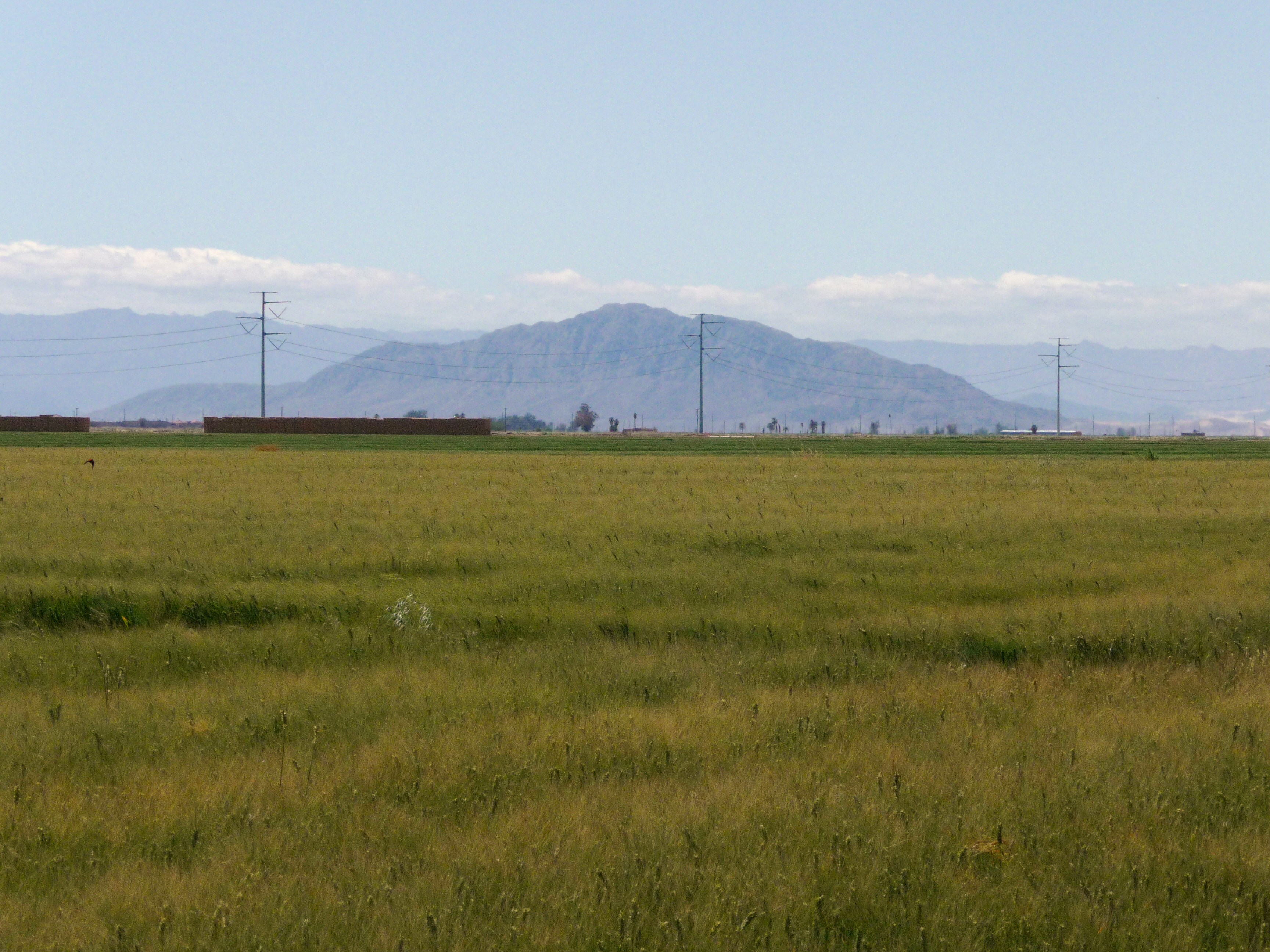 p1000069.jpg